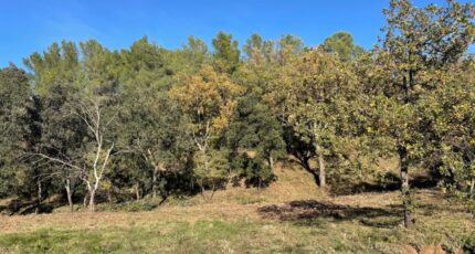 Taradeau Maison neuve - 2409627-9707annonce420260128PqKrx.jpeg Maisons France Confort