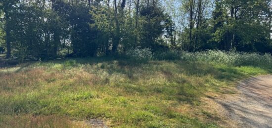 Terrain à bâtir à Lesparre-Médoc, Nouvelle-Aquitaine