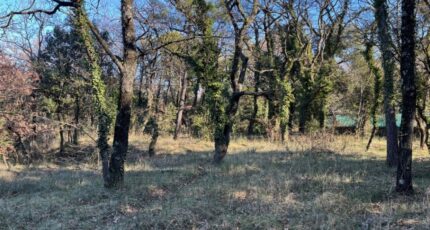 Saint-Paul-Trois-Châteaux Terrain à bâtir - 2312001-6150annonce320250526dbdV0.jpeg Maisons France Confort