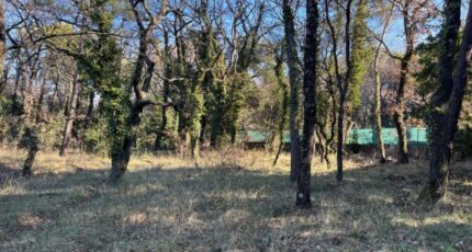 Saint-Paul-Trois-Châteaux Terrain à bâtir - 2312001-6150annonce420250526OT5Eo.jpeg Maisons France Confort