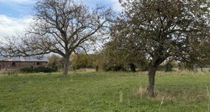 Masny Terrain à bâtir - 2409895-10063annonce320260128e5loX.jpeg Maisons France Confort