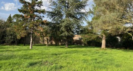 Bollène Terrain à bâtir - 2403247-6150annonce420241020y3FKI.jpeg Maisons France Confort