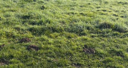 Mézens Maison neuve - 2394292-11356annonce120260115IoDm9.jpeg Maisons France Confort