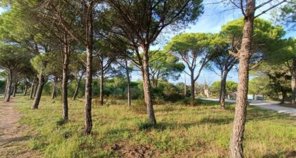 Puget-sur-Argens Terrain à bâtir - 2410387-9911annonce120260128pPNkr.jpeg Maisons France Confort