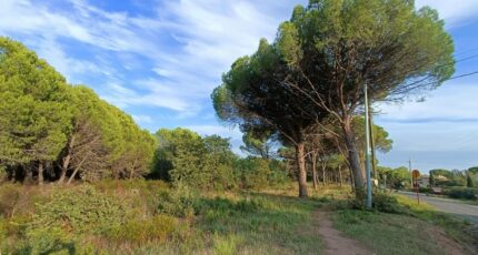 Puget-sur-Argens Terrain à bâtir - 2410387-9911annonce220260128O9e61.jpeg Maisons France Confort