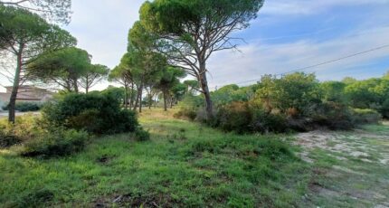 Puget-sur-Argens Terrain à bâtir - 2410387-9911annonce320260128rxDB6.jpeg Maisons France Confort