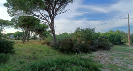 Puget-sur-Argens Terrain à bâtir - 2410387-9911annonce420260128AXodI.jpeg Maisons France Confort