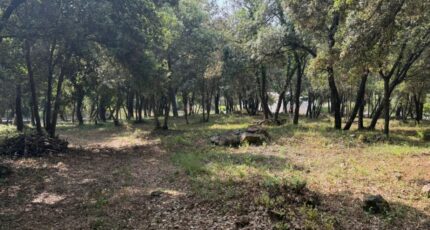 Biot Maison neuve - 2410664-9270annonce32025062677Vs0.jpeg Maisons France Confort