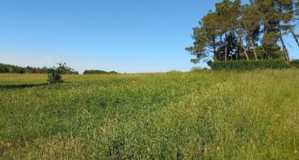 Échourgnac Terrain à bâtir - 2410847-5020annonce12026012897dAh.jpeg Maisons France Confort