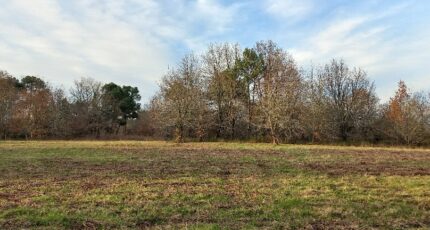 Saint-Laurent-des-Hommes Maison neuve - 2410840-5020annonce1202601281aC3p.jpeg Maisons France Confort