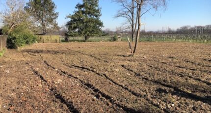 Bourg Maison neuve - 2405729-1804annonce420260125u1hiR.jpeg Maisons France Confort