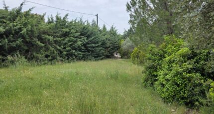 Cucuron Terrain à bâtir - 2348028-2970annonce3202511252H5XW.jpeg Maisons France Confort