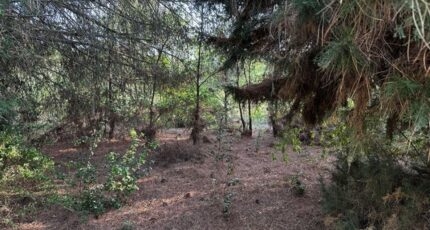 Lauraguel Terrain à bâtir - 2411224-10986annonce1202601298xZih.jpeg Maisons France Confort