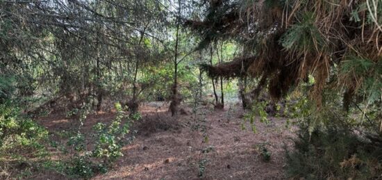 Terrain à bâtir à Lauraguel, Occitanie