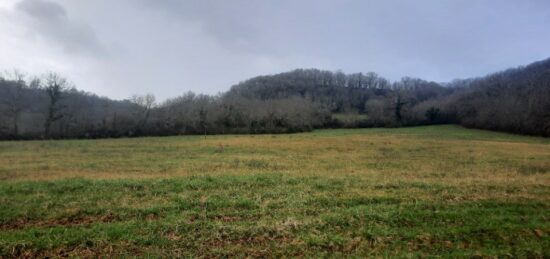 Terrain à bâtir à Loubressac, Occitanie