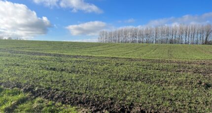 Divion Terrain à bâtir - 2343247-10222annonce120251119y30gZ.jpeg Maisons France Confort