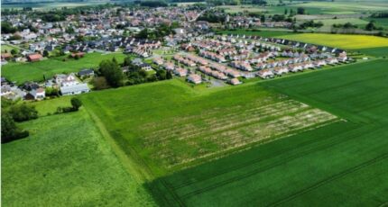 Vitry-en-Artois Maison neuve - 2369085-6130annonce1202512158cQCI.jpeg Maisons France Confort