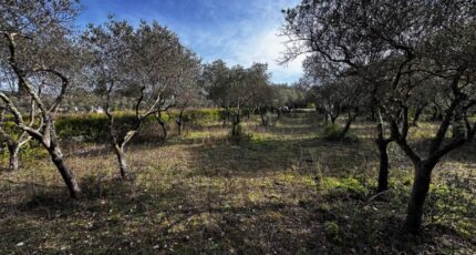 Lorgues Terrain à bâtir - 2412473-3701annonce120260129IQJWU.jpeg Maisons France Confort