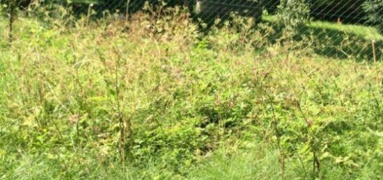 Terrain à bâtir à La Ferté-sous-Jouarre, Île-de-France