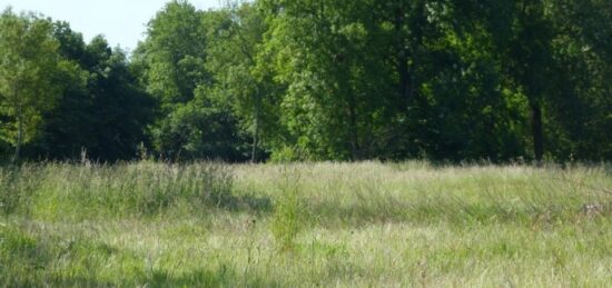 Terrain à bâtir à Léognan, Nouvelle-Aquitaine