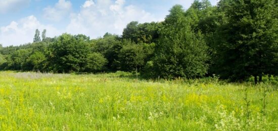Terrain à bâtir à La Réole, Nouvelle-Aquitaine