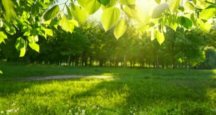 Biscarrosse Maison neuve - 2413159-11269annonce120260130LOaBc.jpeg Maisons France Confort