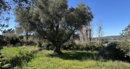 Puget-Ville Maison neuve - 2413865-4590annonce220260130FcDTs.jpeg Maisons France Confort