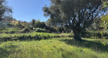 Puget-Ville Terrain à bâtir - 2413848-4590annonce120260130V17A1.jpeg Maisons France Confort