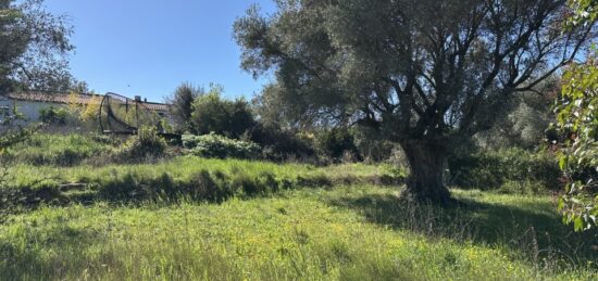 Terrain à bâtir à Puget-Ville, Provence-Alpes-Côte d'Azur