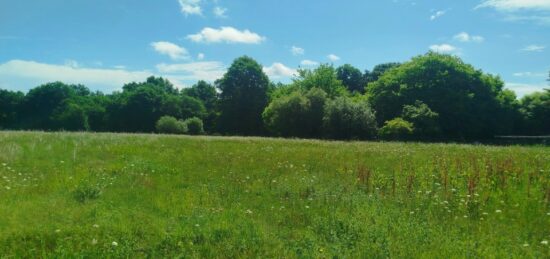 Terrain à bâtir à Saint-Sever, Nouvelle-Aquitaine