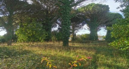 Saint-Maixant Maison neuve - 2408710-9573annonce120260127DTtBc.jpeg Maisons France Confort