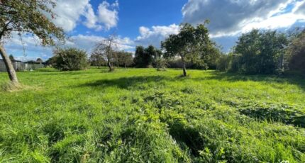 Berlaimont Terrain à bâtir - 2412676-11021annonce120260130KsnZh.jpeg Maisons France Confort