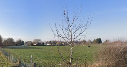 Potelle Terrain à bâtir - 2326225-10863annonce220251103zauJr.jpeg Maisons France Confort