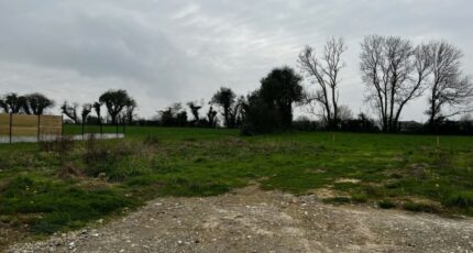 Rinxent Terrain à bâtir - 2310608-10302annonce320251020zDl8T.jpeg Maisons France Confort