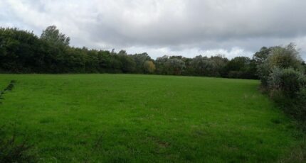 Équihen-Plage Maison neuve - 2310951-10302annonce120251020ZlPsd.jpeg Maisons France Confort