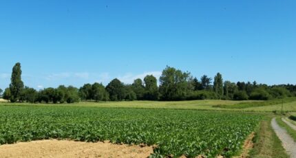 Boullay-les-Troux Maison neuve - 2414252-10924annonce320260131XNk8o.jpeg Maisons France Confort