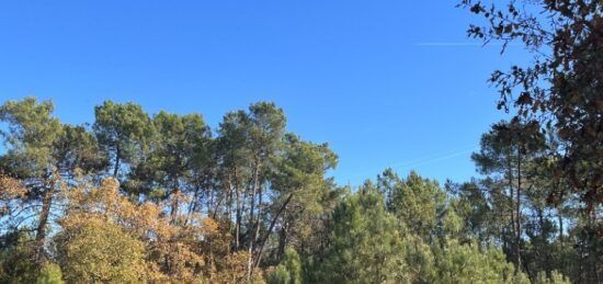 Terrain à bâtir à Saint-Aubin-de-Médoc, Nouvelle-Aquitaine