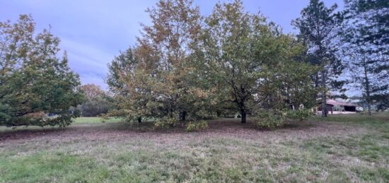 Terrain à bâtir à Pechbonnieu, Occitanie