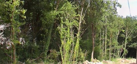 Terrain à bâtir à Tigeaux, Île-de-France