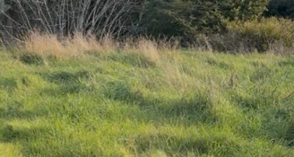 Martigues Maison neuve - 2347321-7054annonce120260107Ja2oH.jpeg Maisons France Confort