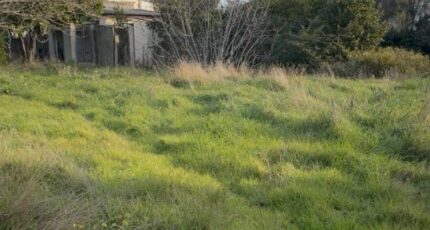 Martigues Maison neuve - 2347321-7054annonce1202601089CgX9.jpeg Maisons France Confort