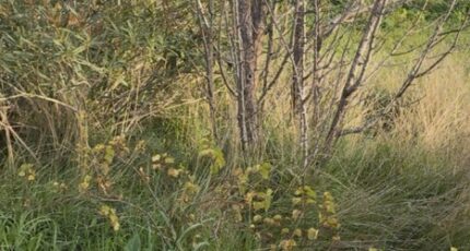 Martigues Terrain à bâtir - 2347320-7054annonce220260108uZ4Lv.jpeg Maisons France Confort