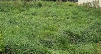 Le Mans Terrain à bâtir - 2348442-6170annonce220251125AzyA3.jpeg Maisons France Confort