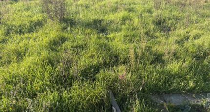 Bessières Maison neuve - 2348970-11356annonce420251125LKeUK.jpeg Maisons France Confort