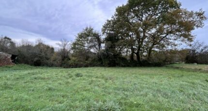 Chaumes-en-Retz Maison neuve - 2352445-11110annonce220251128HgJ7T.jpeg Maisons France Confort