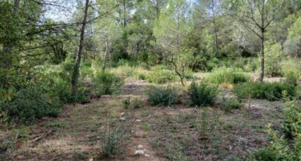 Galargues Terrain à bâtir - 2355045-11169annonce120251202TFUNb.jpeg Maisons France Confort