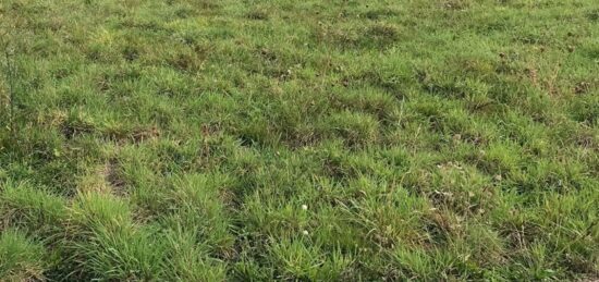 Terrain à bâtir à Juvigny-sous-Andaine, Normandie