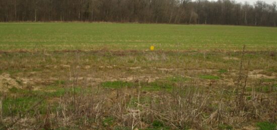 Terrain à bâtir à Longueville, Île-de-France