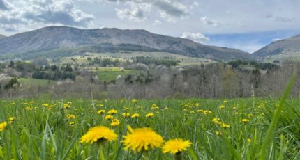 Gap Terrain à bâtir - 2362966-3921annonce220251210OGxV5.jpeg Maisons France Confort