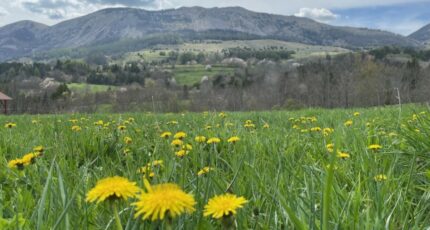 Gap Terrain à bâtir - 2362990-3921annonce1202512100dQW0.jpeg Maisons France Confort